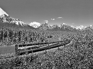 Mountains, River, Train, woods