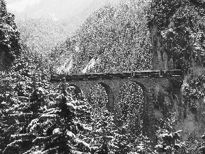 Train, winter, forest, tunnel, Mountains