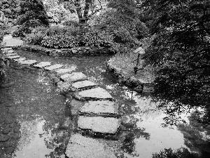 transition, rhododendron, water, Stone, Garden