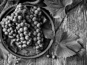 Tray, Grapes, Leaf