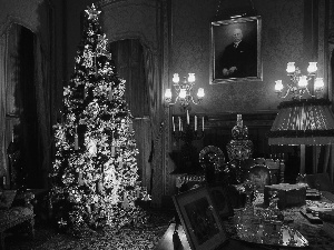 Room, christmas tree