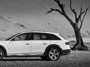 Audi, Desert, trees, A4 AllRoad