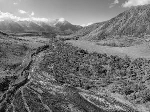 viewes, Altai, autumn, trees, Mountains, River, Russia