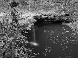 forest, small, viewes, waterfall, brook, trees, autumn