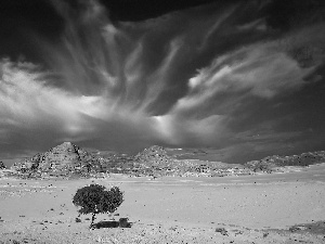 trees, Sky, canyon