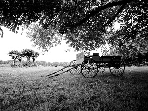 trees, country, arbour, wagon, Meadow