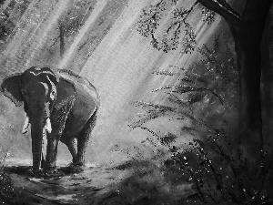 forest, painting, ligh, Way, flash, viewes, trees, Elephant, picture, luminosity, sun