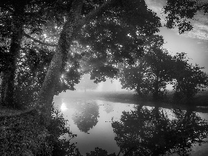 Northamptonshire County, England, Lyveden New Bield, River, morning, Sunrise, trees, viewes, Fog
