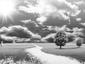 trees, 2D Graphics, Windmills, clouds, Field