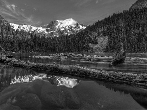 lake, Stems, trees, Mountains