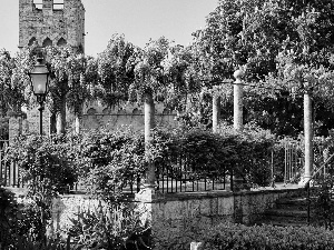 purple, Flowers, Lighthouse, wistaria, viewes, tower, Garden, trees