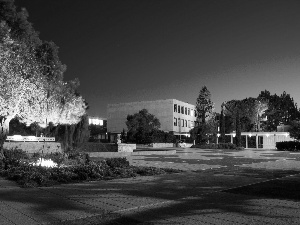 trees, Night, Jerusalem, highlighted, university