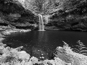 Stones, rocks, Plants, fern, viewes, mossy, waterfall, trees