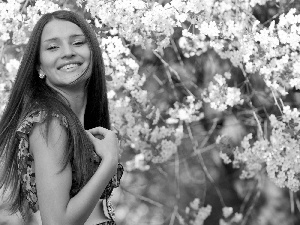 smiling, flourishing, trees, Women