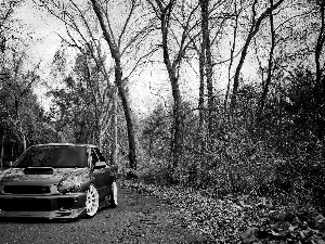 trees, viewes, Subaru Impreza, Way, Automobile