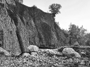 trees, viewes, landslide, Stones, bed-rock