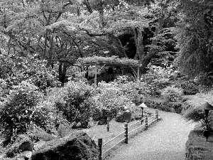 flourishing, Garden, trees, viewes, Bush, beatyfull