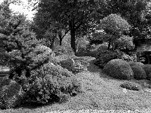 flourishing, Garden, trees, viewes, Bush, beatyfull