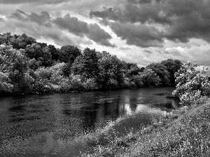 trees, viewes, River, grass, clouds