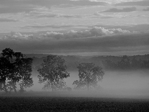 trees, viewes, Fog, Meadow, clouds