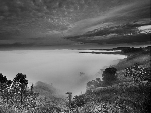 trees, viewes, Fog, Valley, Clouds