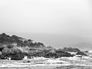 trees, viewes, Houses, rocks, Coast