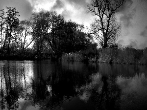 clouds, Park, trees, viewes, color, lake