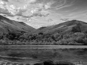 lake, Mountains, trees, viewes, duck, snow