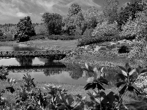 bridges, Park, trees, viewes, Flowers, brook