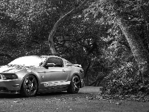 trees, viewes, Mustang, Way, Ford