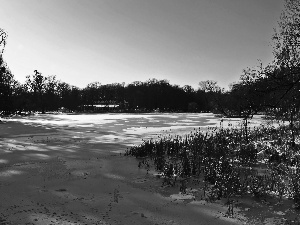trees, viewes, lake, winter, frozen