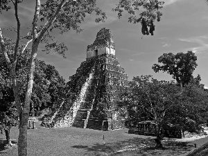 trees, viewes, Pyramid, Jaguar, Guatemala