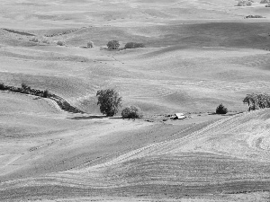 Way, Farms, trees, viewes, hills, field