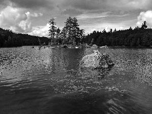 trees, viewes, woods, Islet, lake