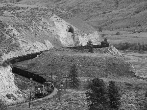 trees, viewes, River, Train, Mountains