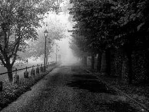 trees, viewes, lane, Lighthouse, Park