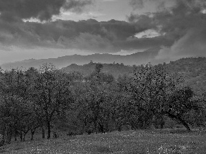 trees, viewes, sun, Mountains, rays