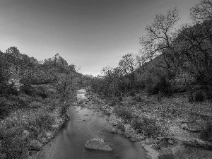 trees, viewes, Mountains, Stones, River