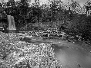 trees, viewes, waterfall, Stones, River