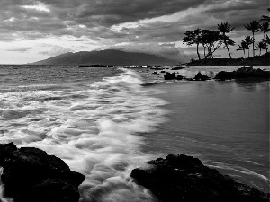 trees, viewes, rocks, clouds, sea