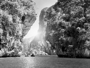 rocks, Thailand, trees, viewes, sea, Phuket