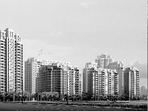 trees, viewes, clouds, Street, skyscrapers