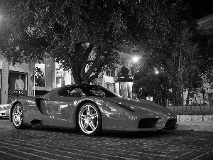 Enzo, Red, trees, viewes, Street, Ferrari