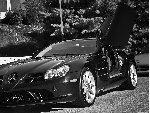 Mercedes Benz SLR McLaren, trees, viewes, Street