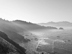 rays, Coast, trees, viewes, sun, sea