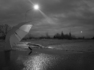 rays, Rain, trees, viewes, sun, Umbrella