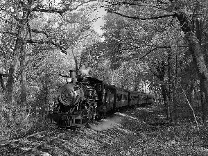 Wagons, locomotive, trees, viewes, track, steam