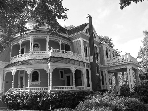 trees, viewes, house, Bush, Victorian