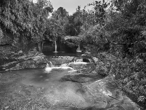 trees, viewes, brook, rocks, waterfall