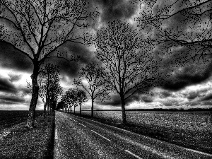 trees, viewes, dark, clouds, Way